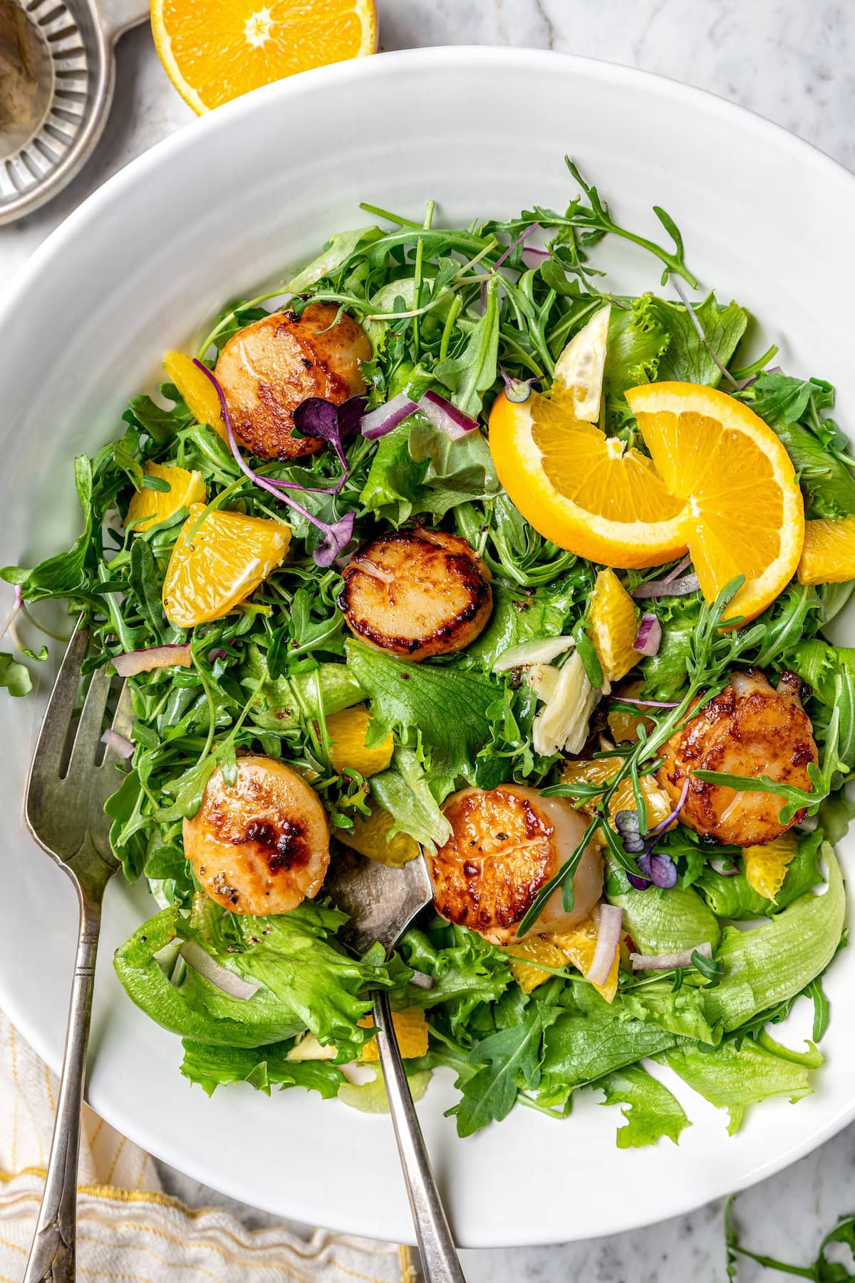 Pan Seared Scallops