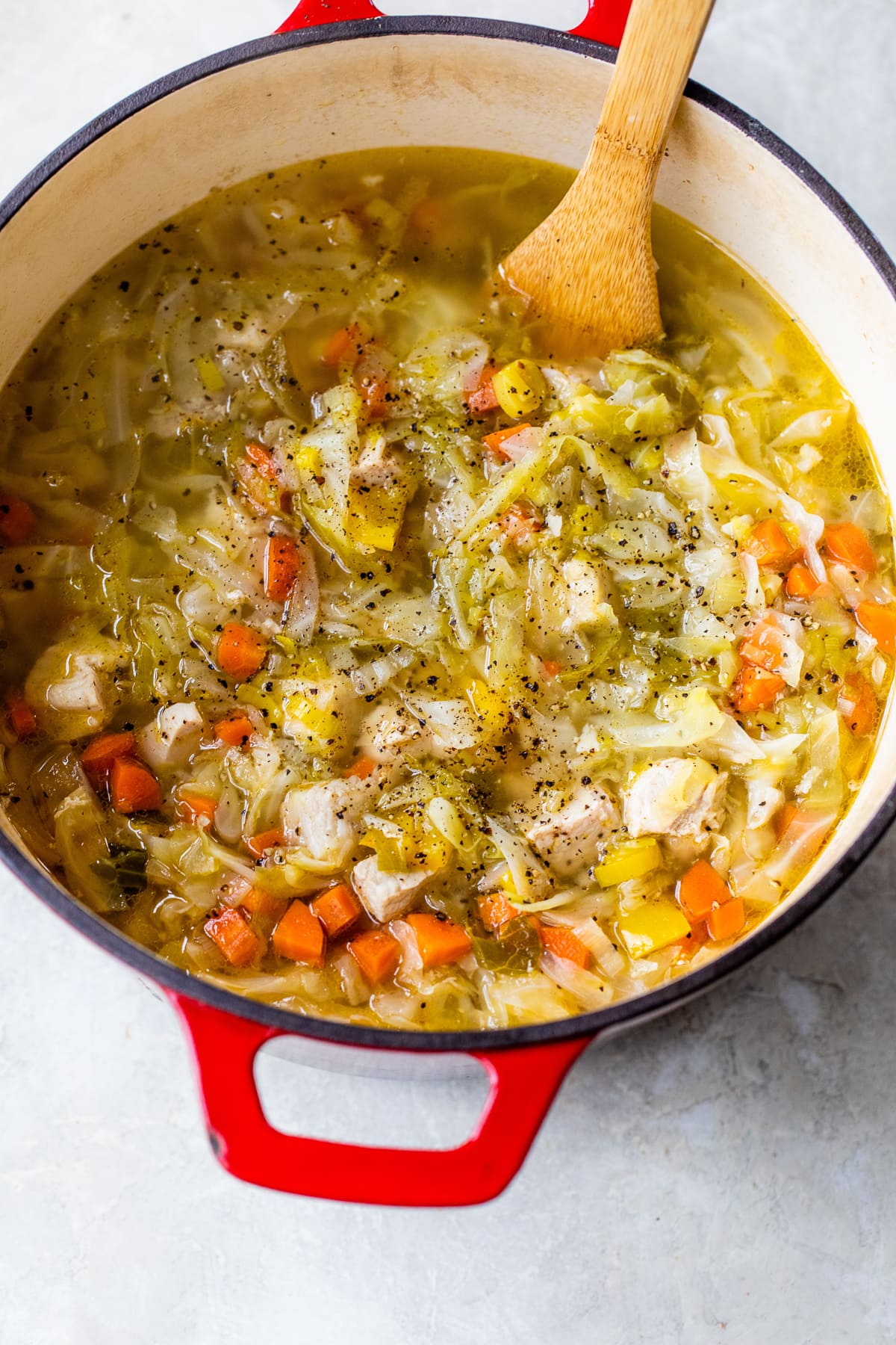 chicken and pork cabbage soup