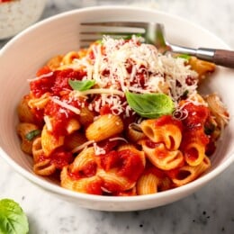 Pasta in bowl with filetto di pomodoro.