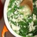 Stracciatella soup is a really quick Italian classic made with chicken broth, egg, parmesan, fresh spinach and orzo. Basically an Italian egg drop soup, which takes under twenty minutes to make so it's perfect for any weeknight.