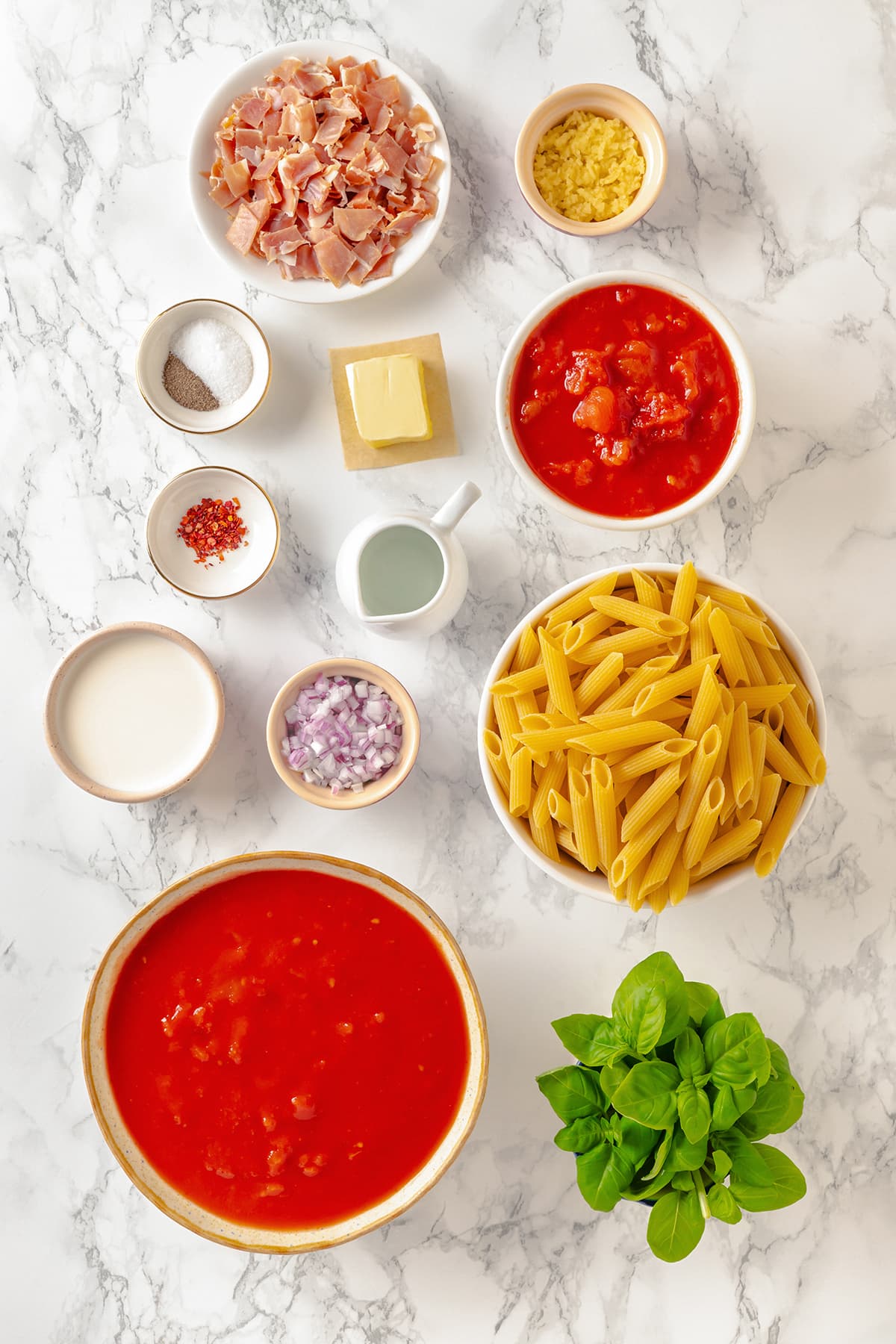 Overhead view of ingredients needed to make penne alla vodka