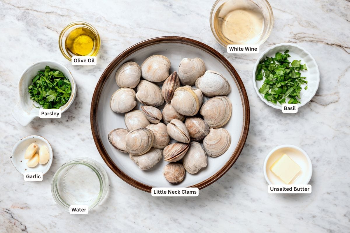 Steamed Clams