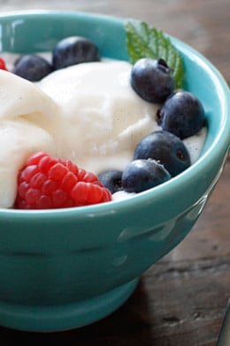 If you like the tangy taste of yogurt you'll love this low-fat homemade frozen treat made with a combination of Greek yogurt and plain yogurt and real vanilla bean.