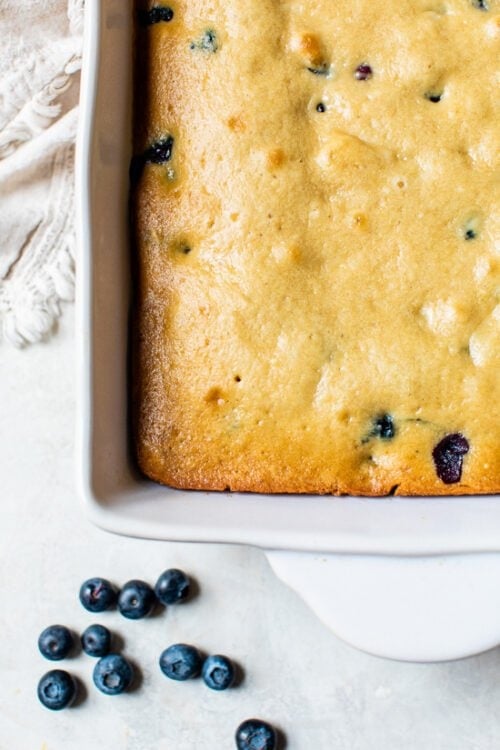 Cooked blueberry cake in pan.