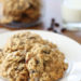 Once a month I contribute a skinny dessert recipe to Dash Recipes. If you love a moist, chewy oatmeal cookie, you'll just love these! Under 200 calories, 5 Points+ and 7 Smart Points for 2 cookies. Please visit Dash Recipes for the complete Skinny Oatmeal Walnut Raisin Cookies Recipe.