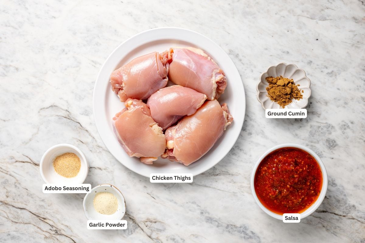 Crockpot Salsa Chicken (Easy!)