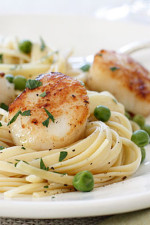 Scallops are great for a quick meal any night of the week and are a real treat. They can be quickly sautéed, then added to salads like this Scallop and Baby Green Citrus Mojo Salad, and this delicious Scallop and Grapefruit Salad, but once in a while when I want something more substantial, I love it with pasta. Here I tossed it with some pasta and peas, for a dinner that took less than 15 minutes to make.