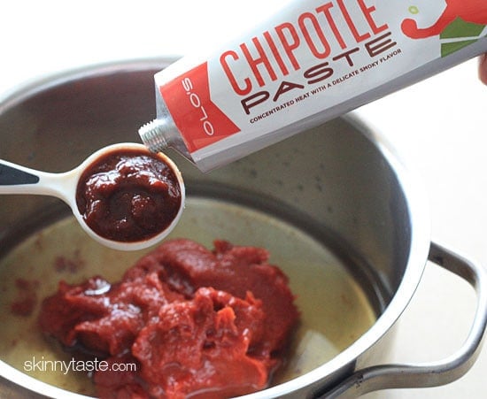 Homemade spicy chipotle ketchup made with clean ingredients you can feel good about eating!