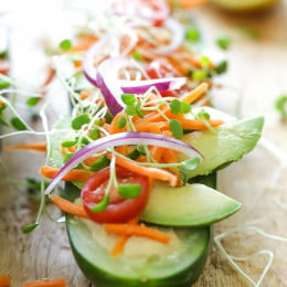 Cucumbers with the seeds scooped out and filled with hummus, avocado, tomatoes, onion and sprouts. So refreshing, healthy and light! An easy low-carb, low-sodium, gluten-free alternative to bread.