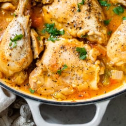 Paprika Chicken Stew is an easy weeknight dish made with chicken pieces on the bone, bell peppers, and lots of Hungarian paprika.