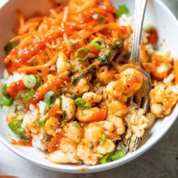 Shrimp Dumpling Rice Bowls