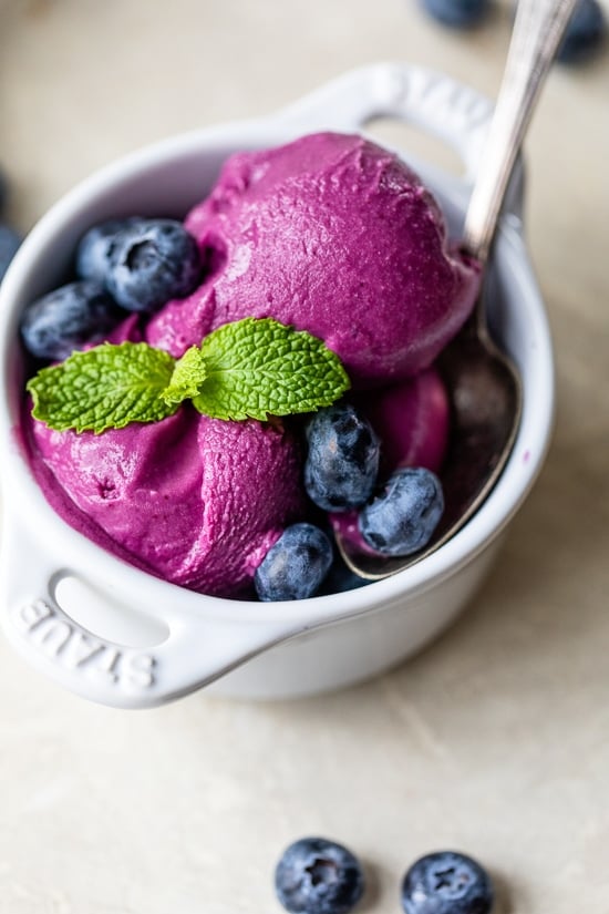 Blueberry Frozen YogurtGinaSkinnytaste