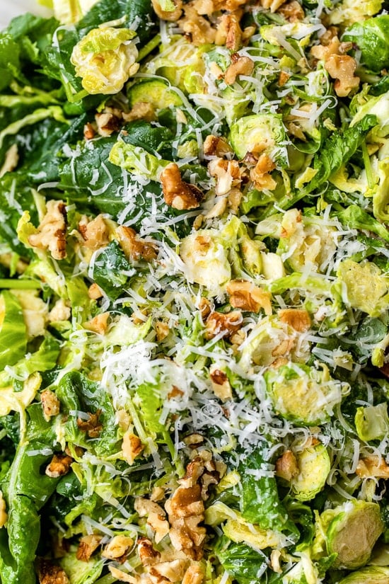 Kale and Brussels Sprouts Salad 7 - Kale and Brussels Sprout Salad with Parmesan and Pecans