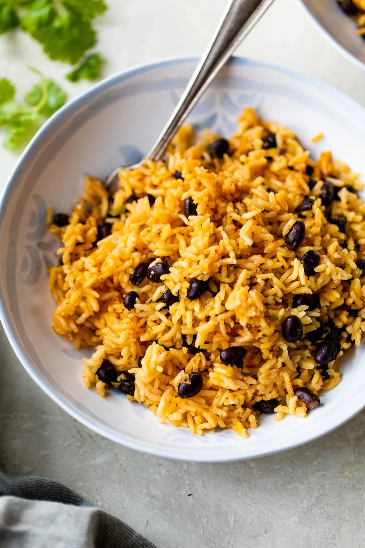 Bowl of Black Beans and Rice