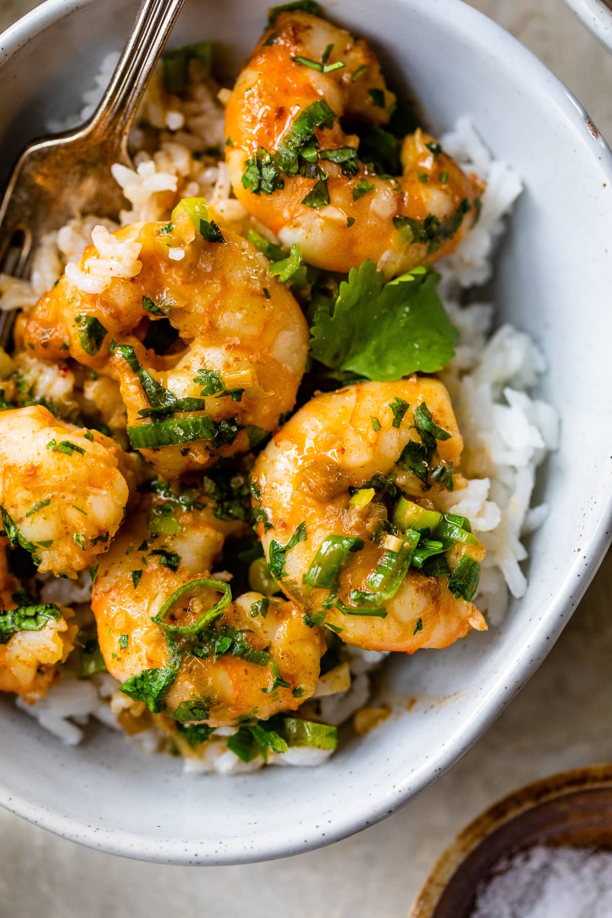 Red Thai coconut curry shrimp with cilantro over rice