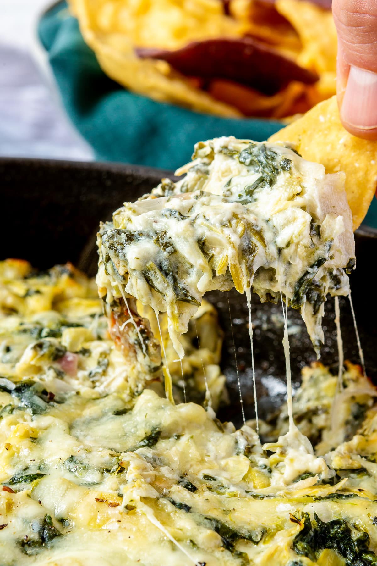 Hot Spinach Artichoke Dip