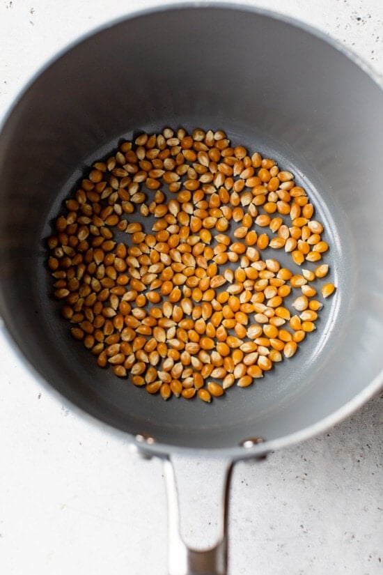 popcorn kernels successful pot