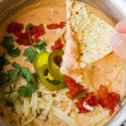 Cottage Cheese Queso Dip