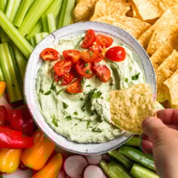 Avocado Cottage Cheese Dip