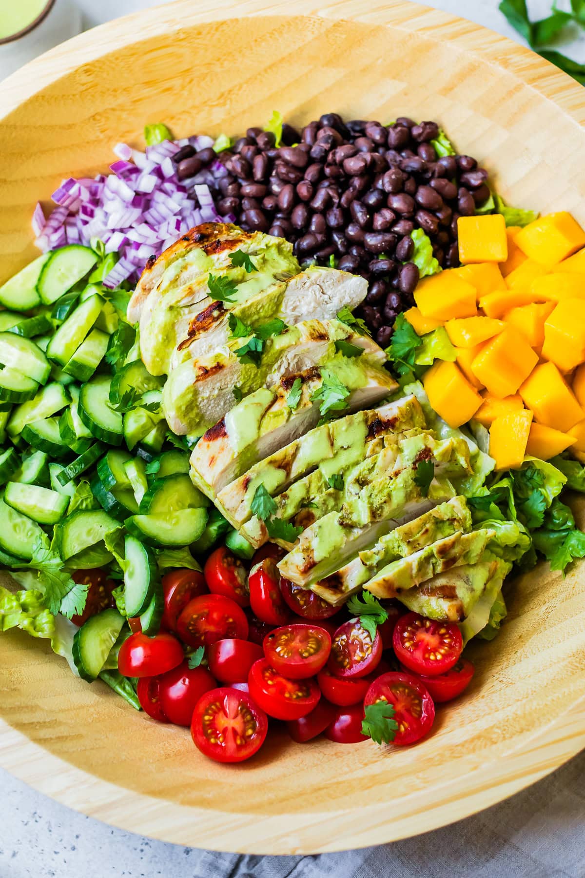 Grilled Chicken Salad with Cilantro Lime Dressing