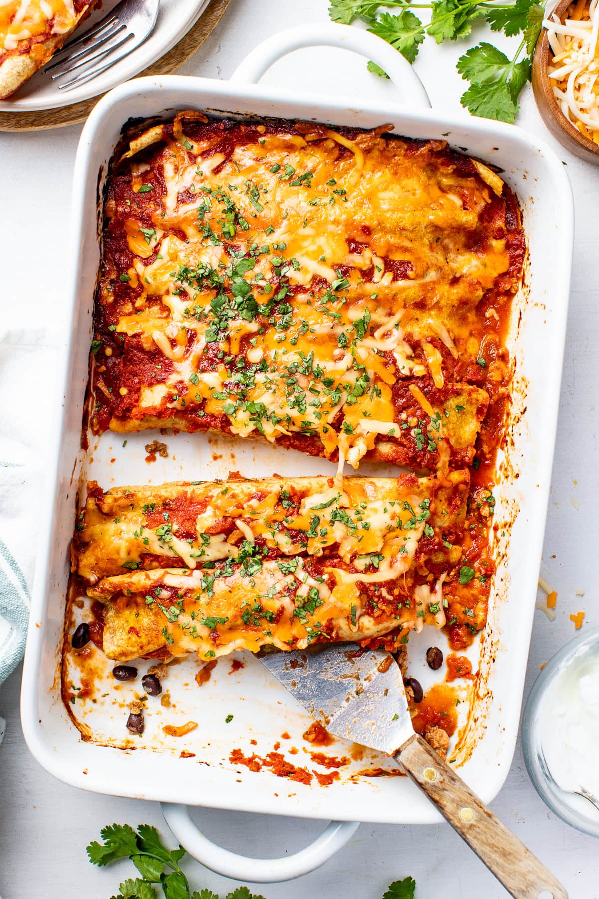 Turkey and Black Bean Enchiladas
